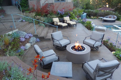 Large elegant backyard concrete paver patio photo in San Francisco with a fire pit and no cover