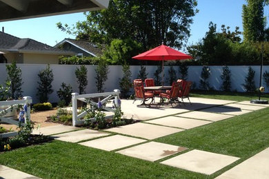 Patio vertical garden - mid-sized contemporary backyard concrete patio vertical garden idea in Orange County with no cover
