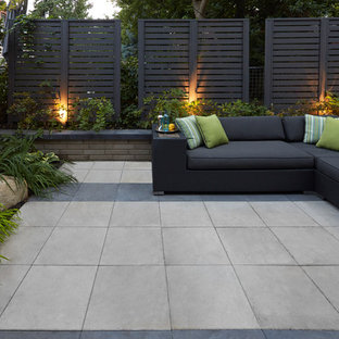 Immagine di un patio o portico moderno con lastre di cemento e nessuna copertura