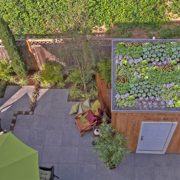 Alberta Arts District - Urban Living - garden roof