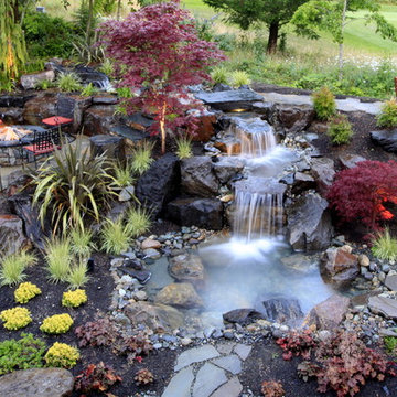 Alderwood Landscape