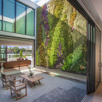 Patio vertical garden - contemporary courtyard patio vertical garden idea in Miami with no cover