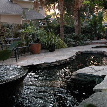 Amelia Island Koi Pond