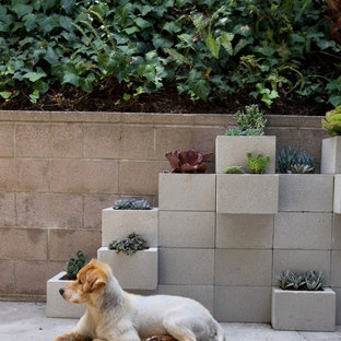 Mid-sized minimalist backyard concrete patio container garden photo in Los Angeles with no cover