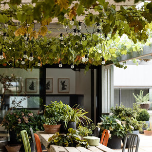 Foto di un patio o portico minimal dietro casa con un giardino in vaso, ghiaia e una pergola