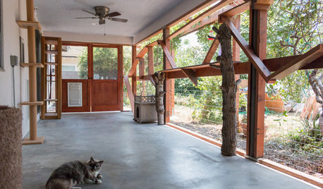 Love Pets? Here’s What to Look for in a House