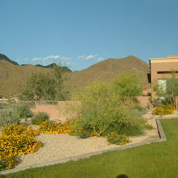 Arizona Landscaped Home