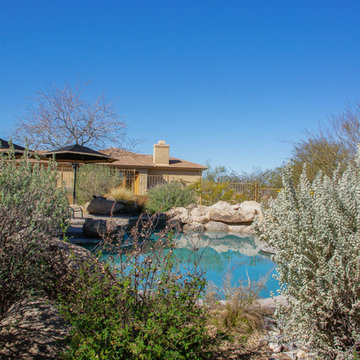 Arizona Landscapes & Pools