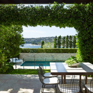 Inspiration for a contemporary patio in Sydney with a pergola.