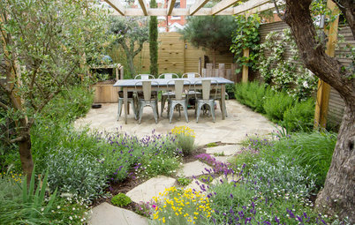 How to Make Your Garden Feel More Private