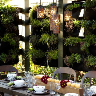 Idee per un patio o portico industriale dietro casa con una pergola