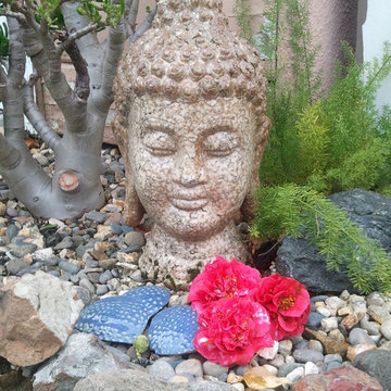 Backyard Buddha