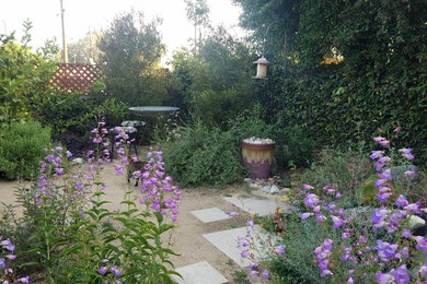 Backyard: CA Natives with bubbling water feature