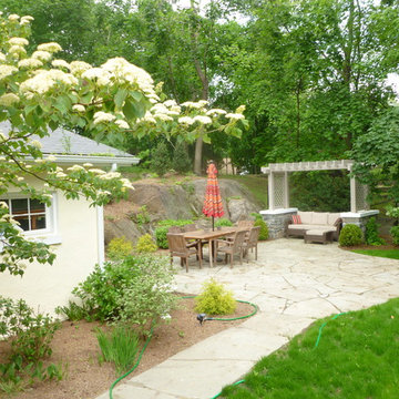 Backyard Landscape