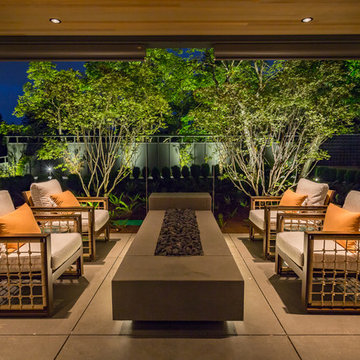 Backyard Oasis