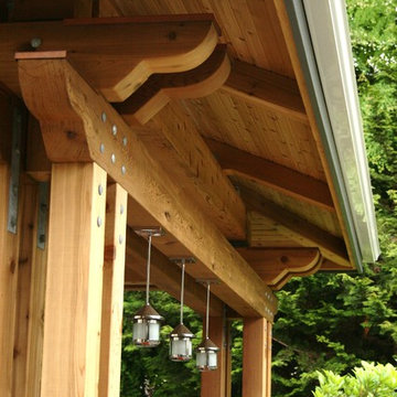 Backyard Remodel Details