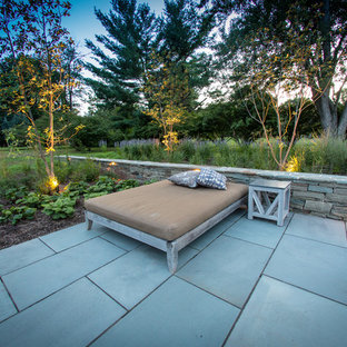 Esempio di un patio o portico moderno di medie dimensioni e dietro casa con un giardino in vaso, nessuna copertura e pavimentazioni in cemento