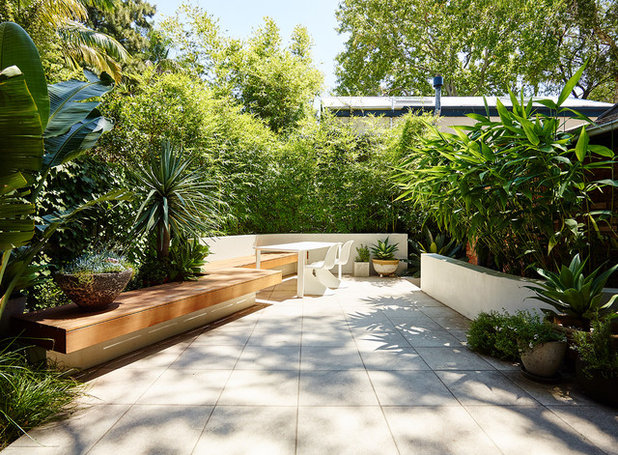 Contemporary Patio by Think Outside Gardens