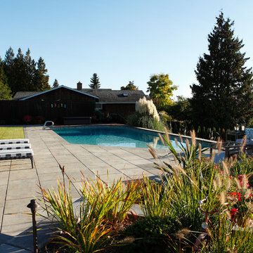 Bellevue Contemporary Poolside and Landscape