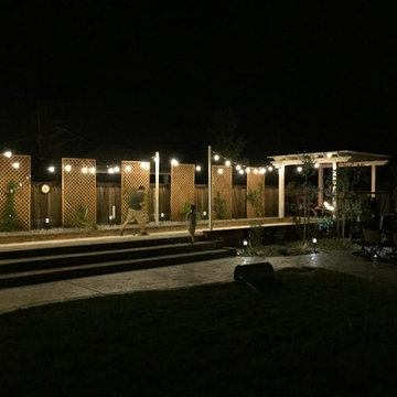 Bocce in the Night