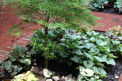 Inspiration for a small traditional courtyard brick landscaping in Baltimore.