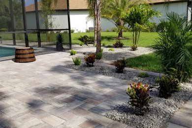 Patio - tropical backyard concrete paver patio idea in Tampa