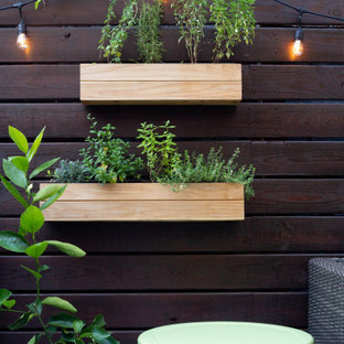 Ispirazione per un piccolo patio o portico eclettico dietro casa con un giardino in vaso, lastre di cemento e un parasole