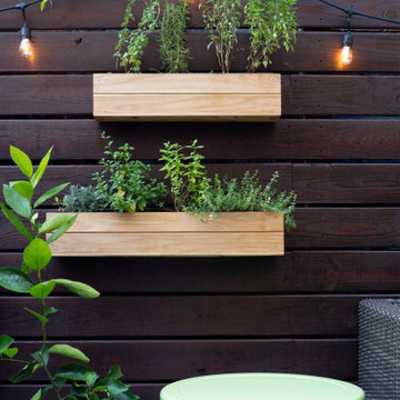 Brooklyn Backyard fit for a Fiesta