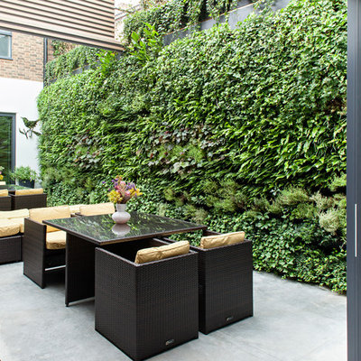 Patio vertical garden - contemporary courtyard concrete patio vertical garden idea in London