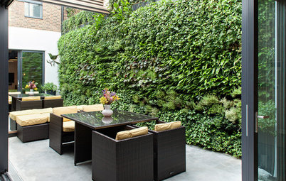 How to Create Privacy in a Small Urban Garden