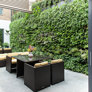 Esempio di un patio o portico contemporaneo con lastre di cemento e nessuna copertura