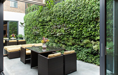10 Reasons to Love Vertical Gardens