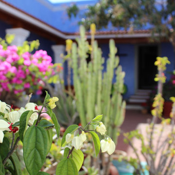 Casa MATE