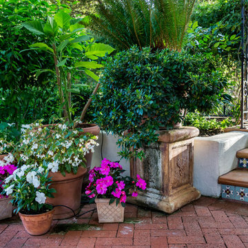 Casa Smith's California Garden