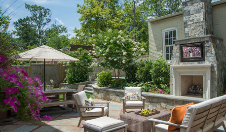 Terraces, New Plantings and Basketball Transform a D.C. Backyard