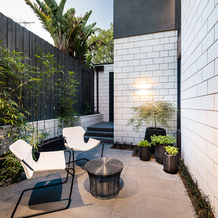 Design ideas for a contemporary courtyard patio in Melbourne with no cover.