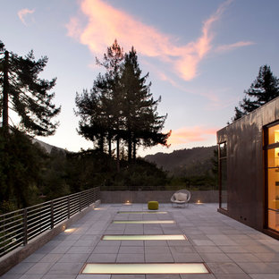 Example of a minimalist patio design in San Francisco with no cover