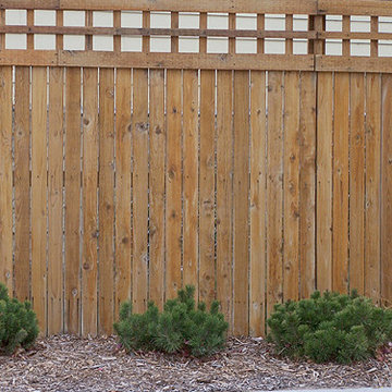 Cedar Fences