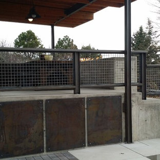 Idee per un patio o portico industriale di medie dimensioni e dietro casa con un focolare, lastre di cemento e un tetto a sbalzo