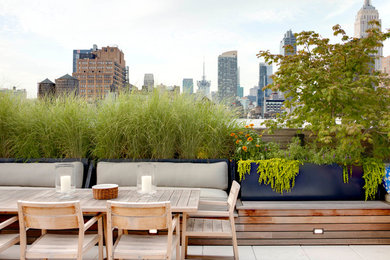 Inspiration for a mid-sized contemporary concrete paver patio container garden remodel in New York with a roof extension