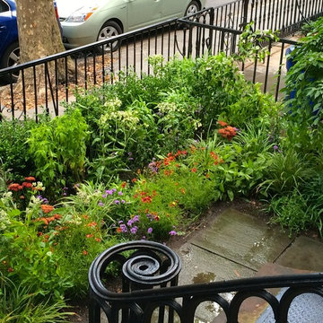 Cobble Hill, Brooklyn Front Garden