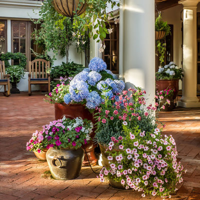 Large tuscan courtyard brick patio photo in San Francisco with a roof extension