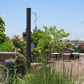 Commonwealth Avenue Garden