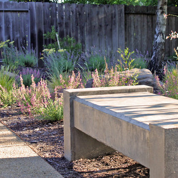 Concrete Bench in Sunlit Pollinator Garden