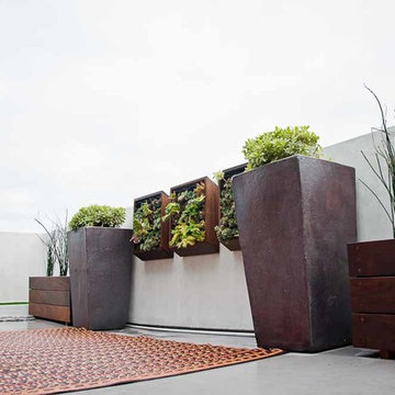 Contemporary Balcony Garden / Small Space Landscapes