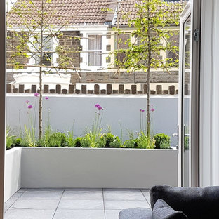 Design ideas for a small contemporary courtyard patio in Other.