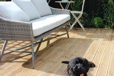 Design ideas for a medium sized contemporary back patio in Hertfordshire with decking and no cover.