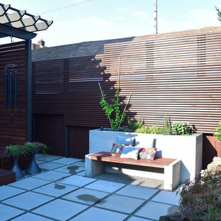 Esempio di un piccolo patio o portico etnico dietro casa con un giardino in vaso, pavimentazioni in cemento e una pergola