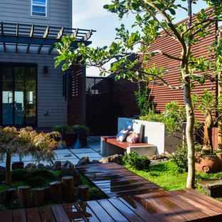 Ispirazione per un piccolo patio o portico etnico dietro casa con un giardino in vaso, pavimentazioni in cemento e una pergola
