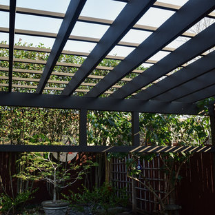 Esempio di un piccolo patio o portico etnico dietro casa con un giardino in vaso, pavimentazioni in cemento e una pergola